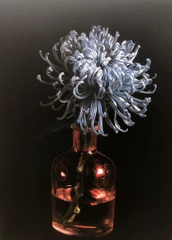 Chrysanthemum goes to the Oscars (A3)